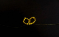 2019-12-13_172733.png