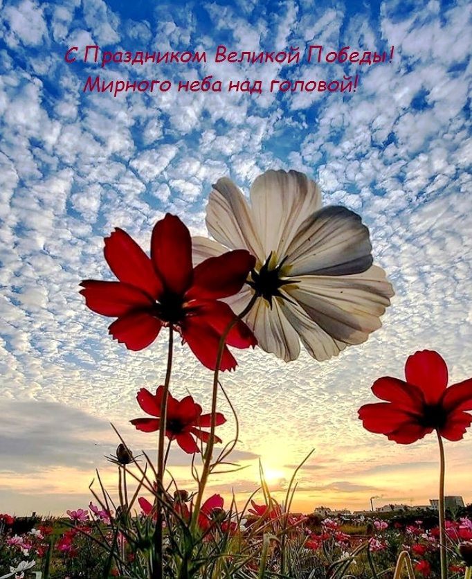 9 мая.jpg