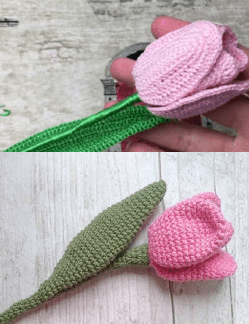 Crocheted Tulips: A DIY Craft Project