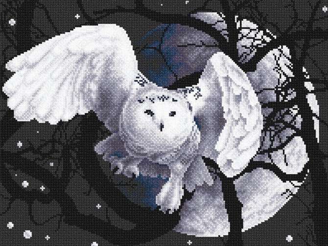 Embroidery on black canvas