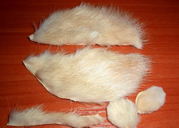 Cut mouse pieces from fur and fabric
