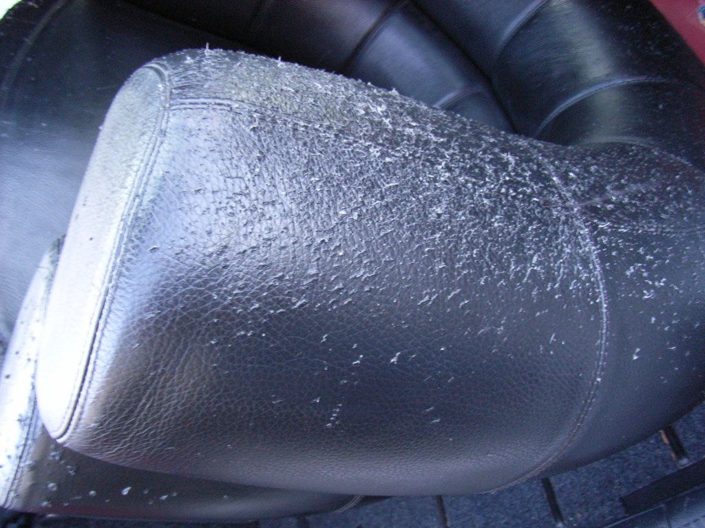 Elegant-Fixing-Cat-Scratches-On-Leather-Sofa-Also-Luxury-Home-Interior-Designing-with-Fixing-C...jpg
