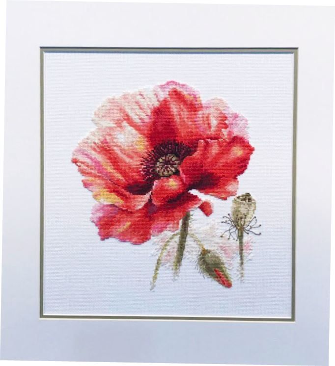 Framed poppy embroidery design by Alisa