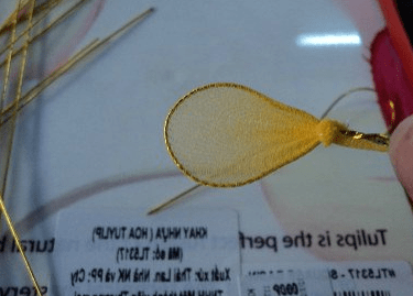 Nylon apricot blossoms, step 5