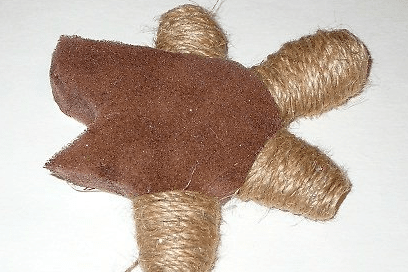 Turtle with legs partly wrapped in twine