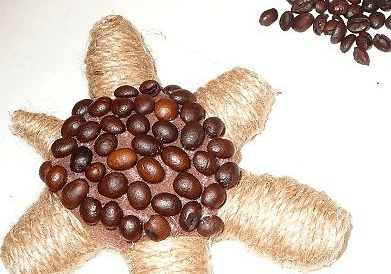 Turtle shell covered with coffee beans