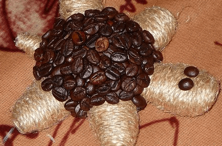 Finished coffee turtle close-up
