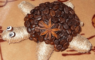 Finished coffee turtle with a star anise pod