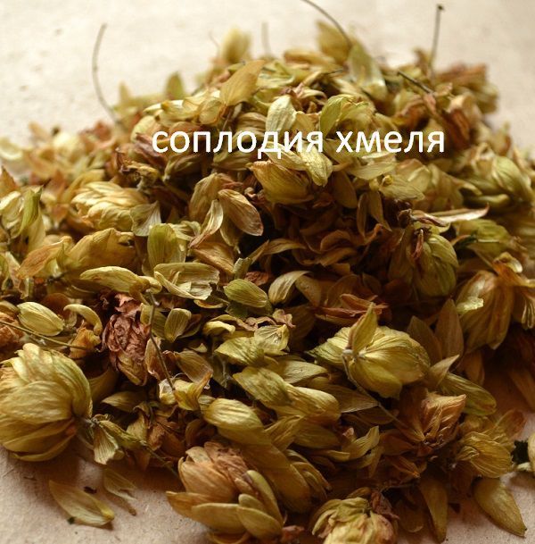 шампунь2.jpg