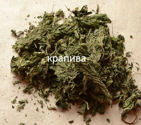 Сушеная крапива