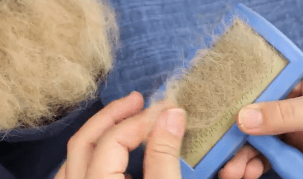 How to Make Yarn from Pet Fur