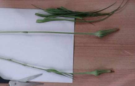 2020-03-28_164950.png