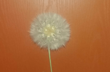 2020-03-28_165017.png