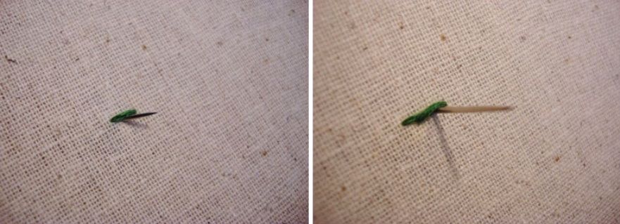 Steps for working stem stitch on fabric