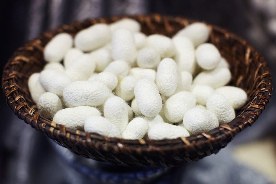 Various types of natural silk fabrics