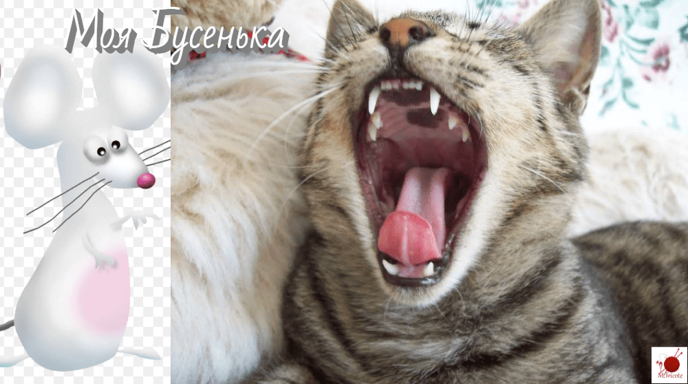 Зевающий полосатый кот крупным планом рядом с рисунком мышки