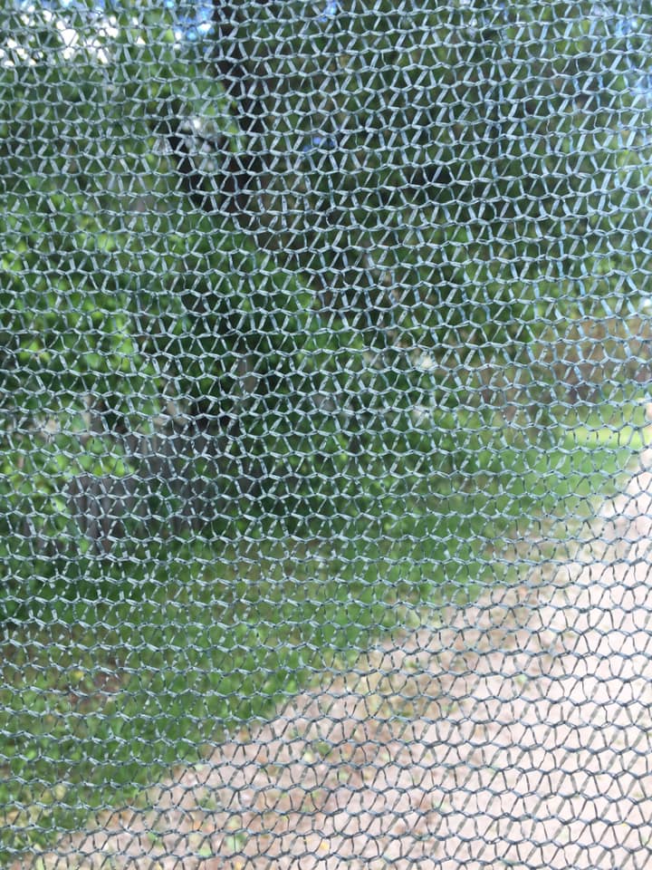 shade net
