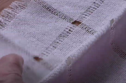napkin 1