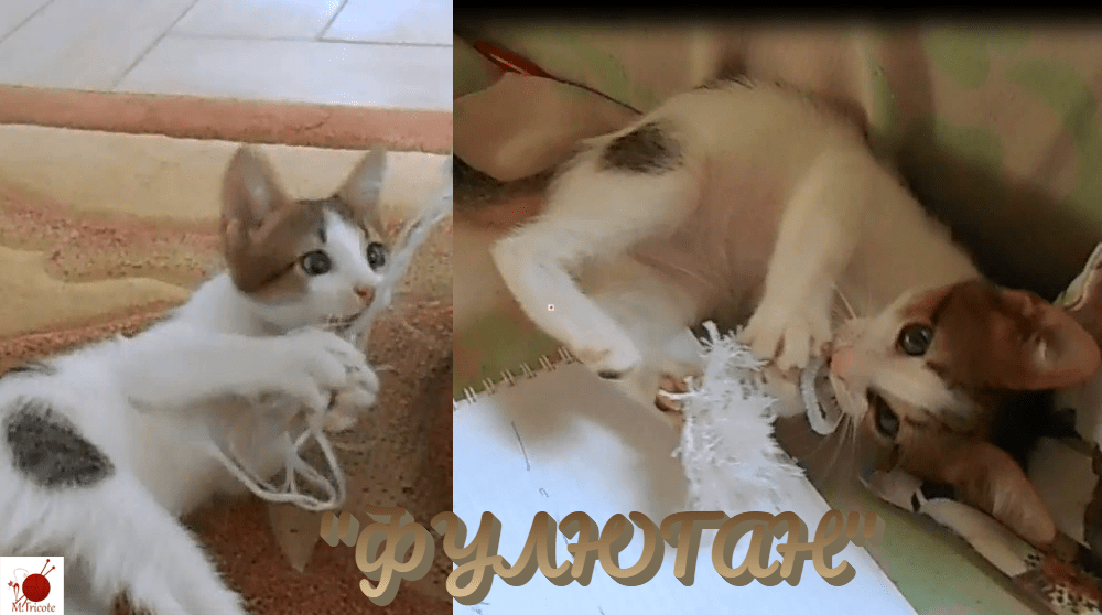 Коллаж из двух фото котёнка, играющего со шнурком