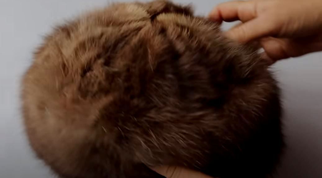 An old fur hat before being upcycled into a collar