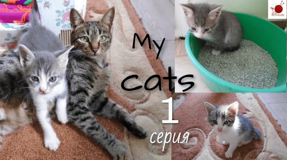 Коллаж с кошкой и двумя котятами