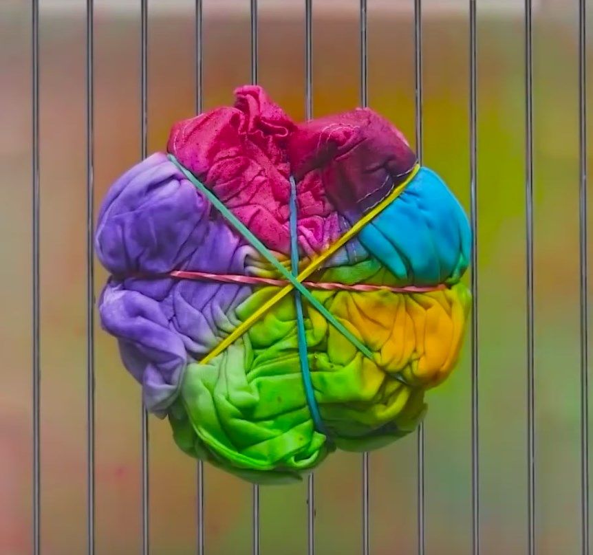 Dyed T-shirt bundle secured with rubber bands while drying