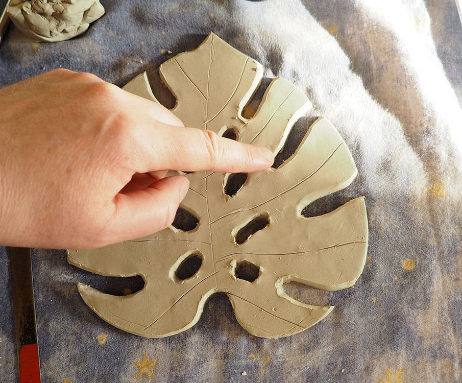 Edge of a monstera leaf slot smoothed with a damp finger