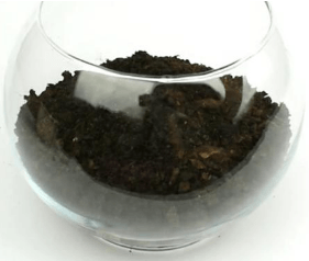 Soil on top of drainage in a glass vase
