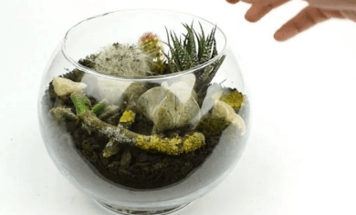 Terrarium with moss, a branch, and stones after decorating