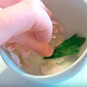 Petals and green leaf inside a cup