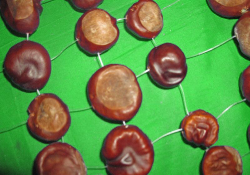 Close-up of chestnuts drilled in two directions and connected in a grid with clear fishing line