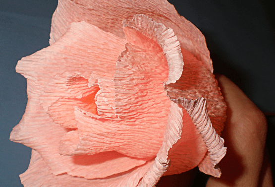 Opening rose flower made of pink crepe paper