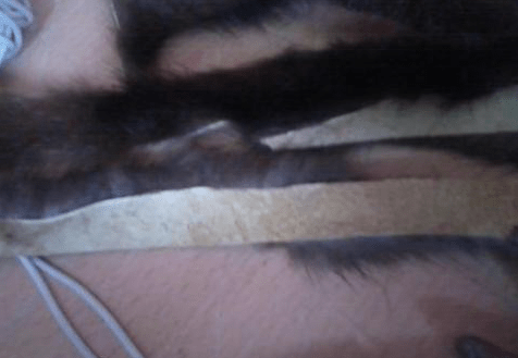 A fur strip for wrapping the toy spider's legs