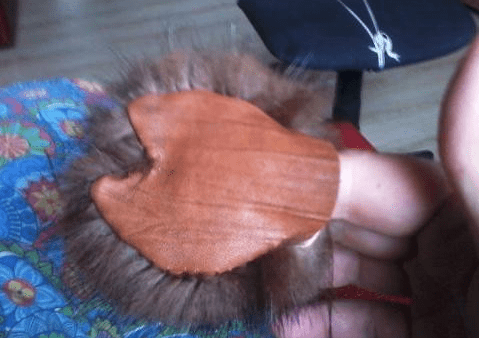The toy spider's cardboard body base with fur