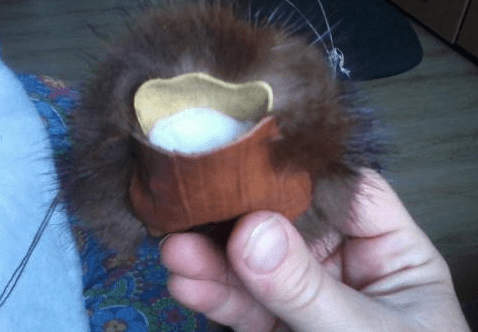 The spider's cardboard body base with stuffing