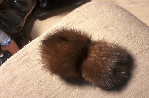 The toy spider's assembled fur-covered body
