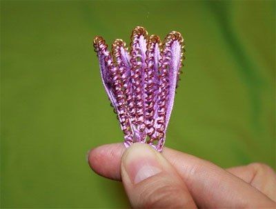 Petals gathered into a flower bud
